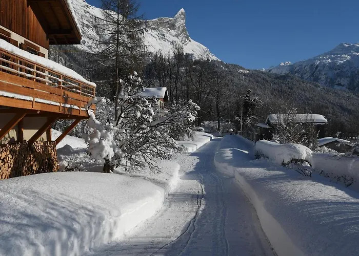 Face Mont-Blanc