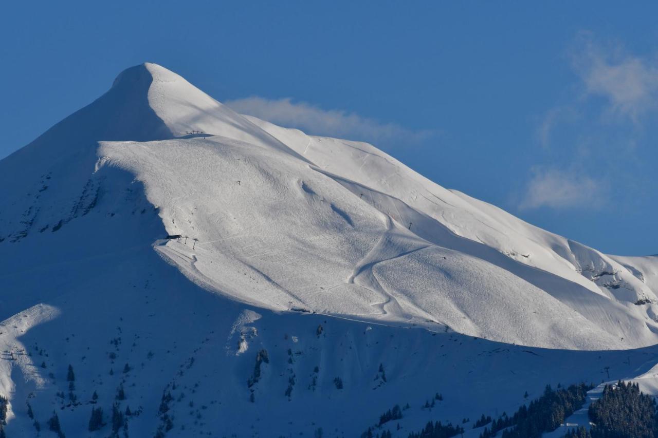 Face Mont-blanc